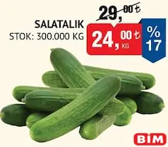 SALATALIK KG fiyat ve kampanya bilgisi